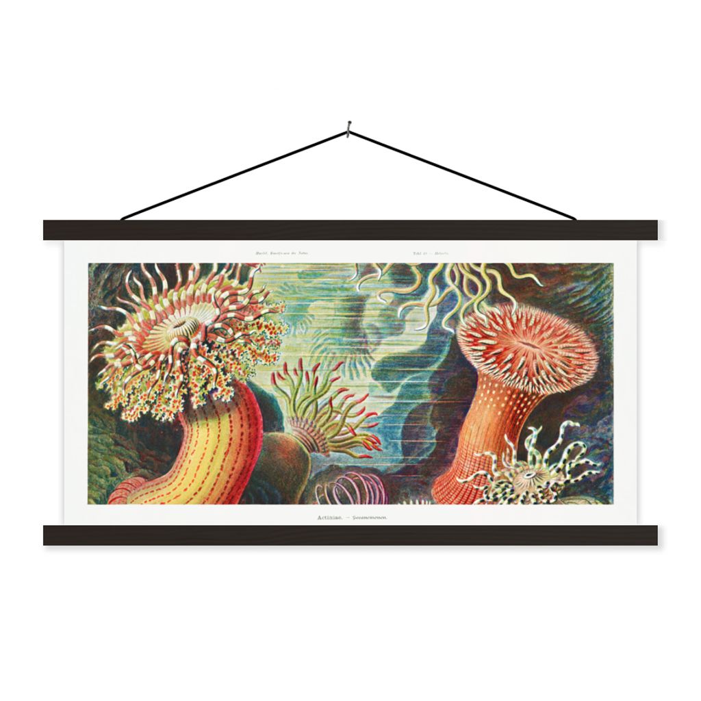 MuchoWow Textilposter Ernst Haeckel - Anemone - Retro - Natur - Pflanzen - Meer 90x45 cm mit schwarzem Rahmen - Klemmleisten