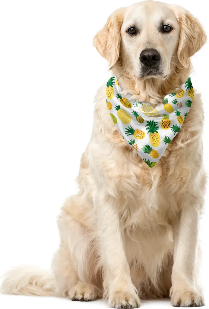 Bandana Cane ABAKUHAUS Ananas 40x40 - Accessorio Pet Estivo Colorato