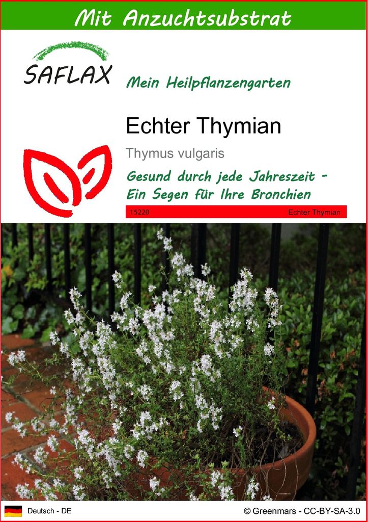 SAFLAX - Heilpflanzen - Echter Thymian - 200 Samen - Mit keimfreiem Anzuchtsubstrat - Thymus vulgaris