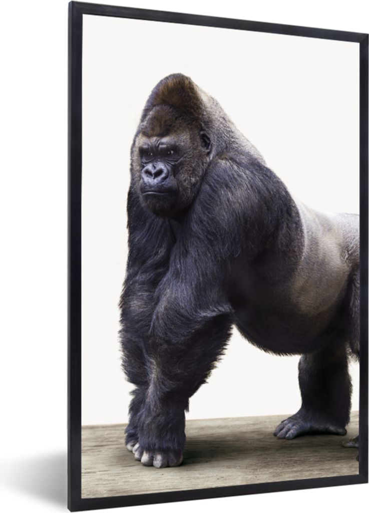 MuchoWow Gerahmtes Poster Gorilla - Tiere - Jungen - Mädchen - Kinder 40x60 cm - Poster mit Schwarzem Bilderrahmen Wandposter Rahmen Foto Bilder...
