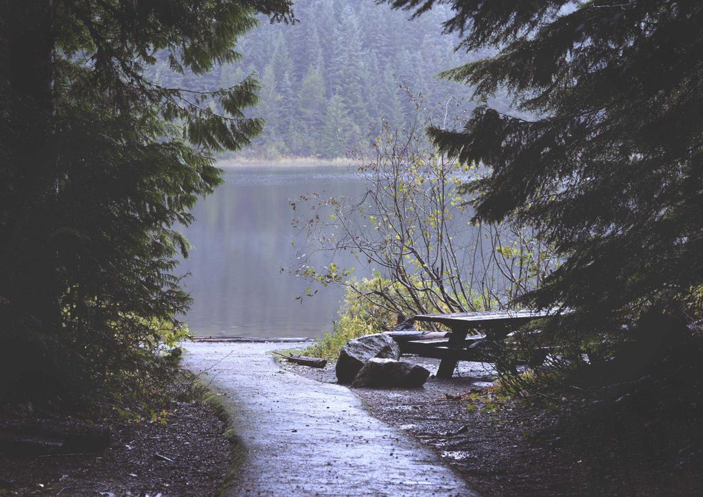 hansepuzzle 22949 - Platz am See Puzzle, 260 Teile, Natur, 41,0 x 28,0cm mit hochwertiger Aufbewahrung, Kartonbox und wiederverschließbarem Beutel