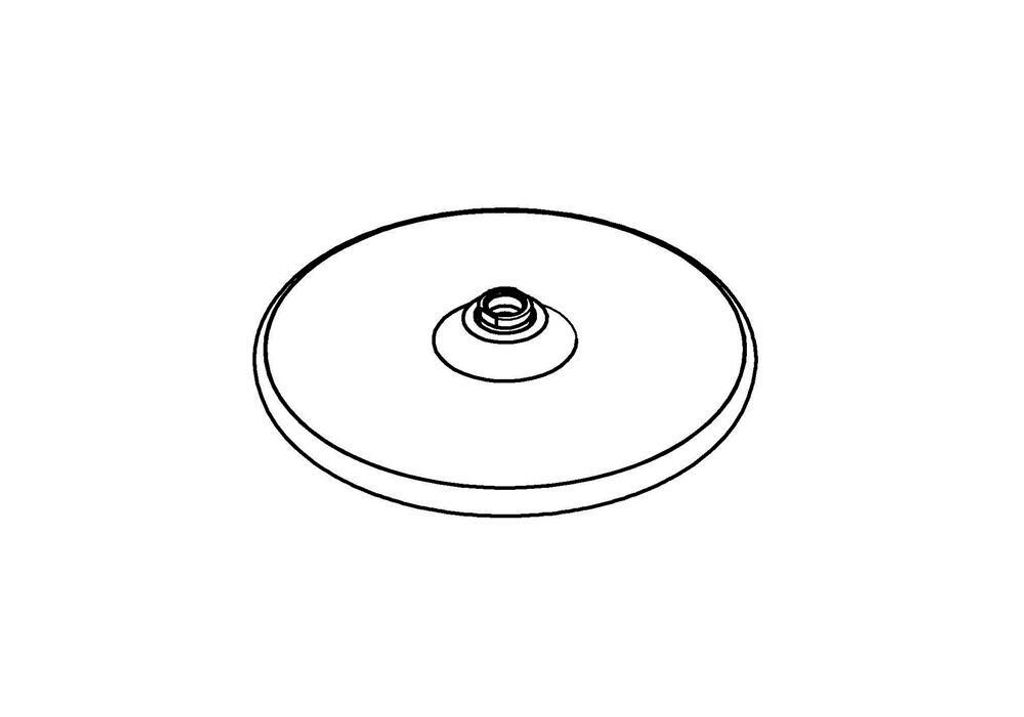 GROHE Kopfbrause Tempesta 250 26666, 1 Strahlart, 9,5 l/min Durchflusskonstanthalter, chrom