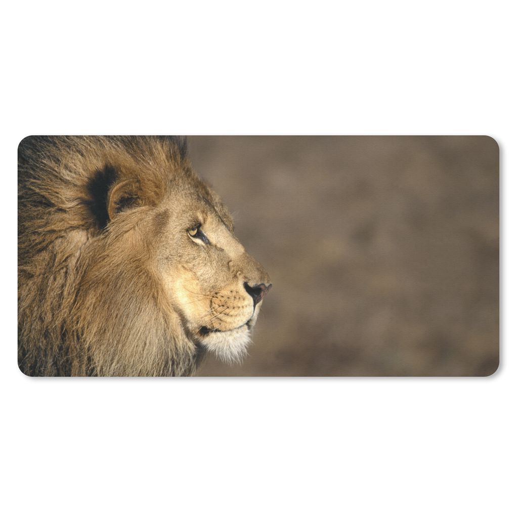 MuchoWow Schreibtischunterlage Profil - Löwe - Afrika 80x40 cm - XXL Mauspad - Gaming Mauspad