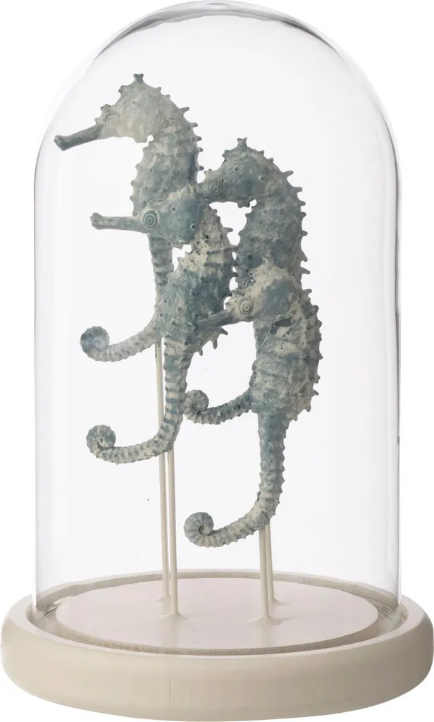 J-Line Cloche décorative Hippocampe en Verre Blanc et Bleu Modèle Petit