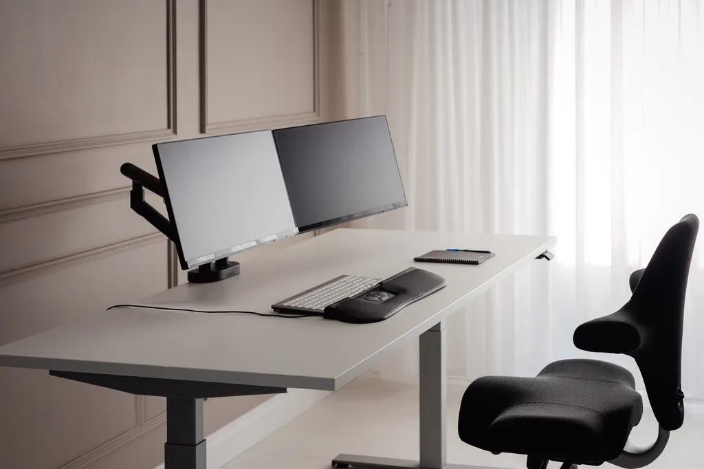 Libérez votre bureau avec le bras de moniteur double BakkerElkhuizen Noir