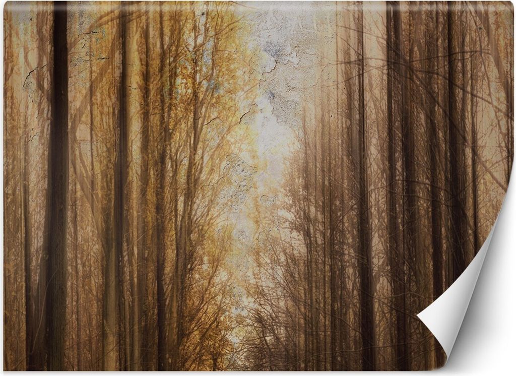 Vlies fototapete Herbst Waldbäume 150x105 cm Feeby Orange inkl. Kleber einfache Montage