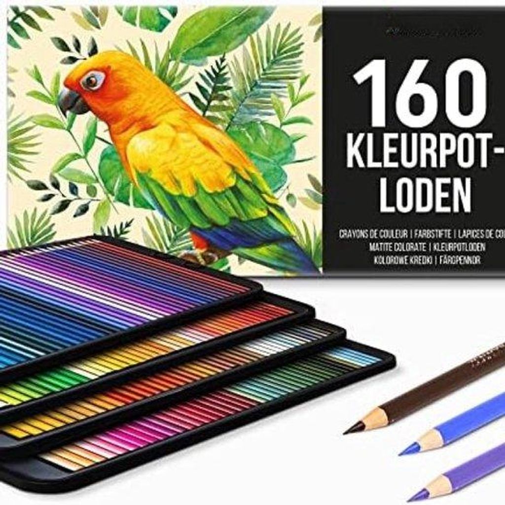 Künstlerkollektion Kunststifte-Set - Kunststifte für Künstler mit Etui - Kunststift-Box mit professionellen Kunststiften, ideal für Erwachsene ...
