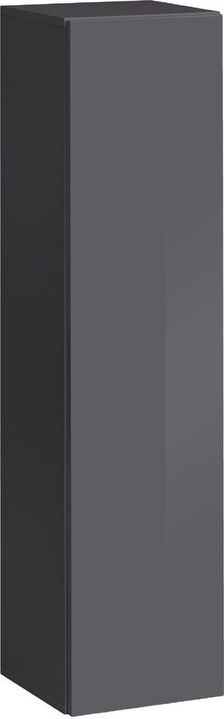 A tall, narrow, dark gray cabinet or display case.