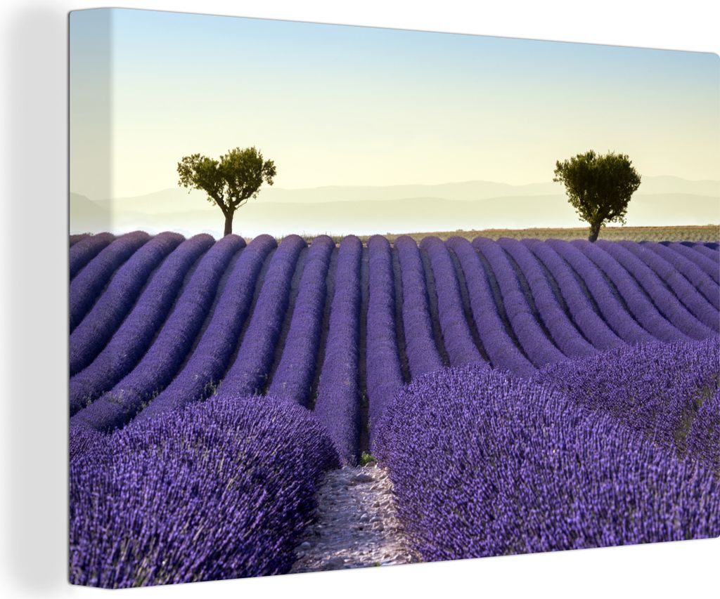 OneMillionCanvasses - Leinwandbilder - 140x90 cm, Lavendel - Bäume - Blumen - Natur, Wandbilder Kunstdruck Wanddekoration - Foto auf Leinwand - ...