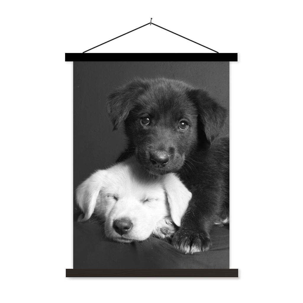 MuchoWow Textilposter Hunde - Welpe - Schwarz - Weiß - Tiere 60x80 cm mit schwarzem Rahmen - Plakathalter