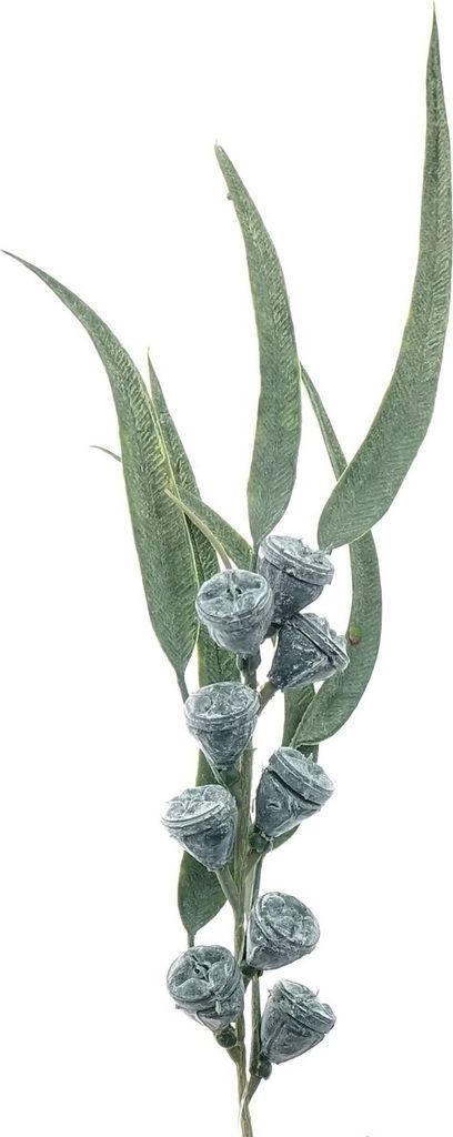 GASPER Eukalyptusfruchtzweig Grau & Grün 40 cm - Kunstblumen