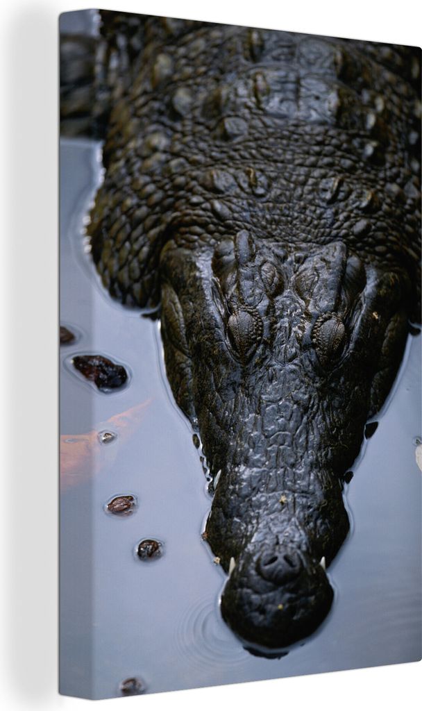 OneMillionCanvasses - Leinwandbilder - 90x140 cm, Reptilien - Krokodil - Afrika, Wandbilder Kunstdruck Wanddekoration - Wandschmucke - Schlafzimmer