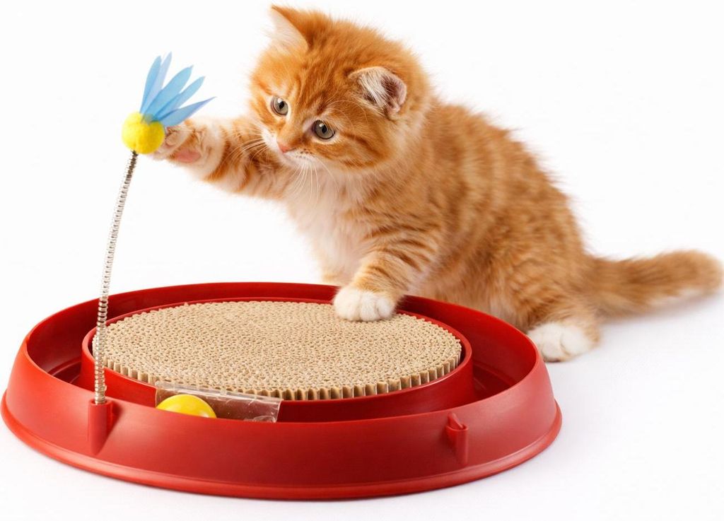 Tor Catit Play'n Scratch z drapakiem | zabawka dla kota | 4 Zdjęcie produktu 