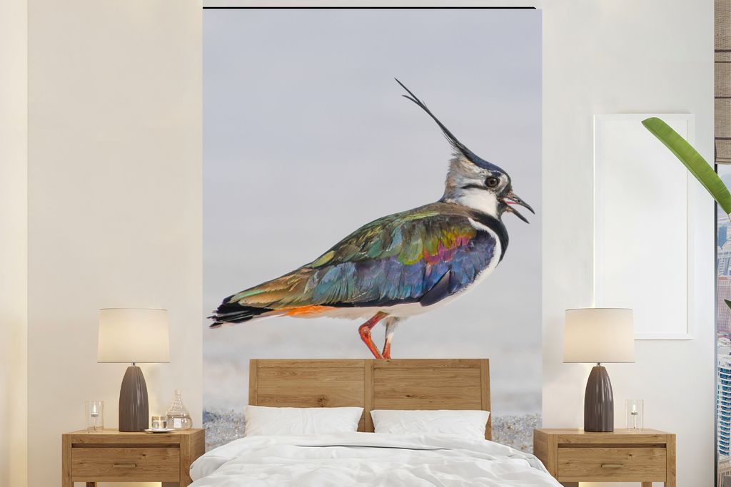 MuchoWow Fototapete für Wohnzimmer oder Schlafzimmer Wandtapete Vinyl Motivtapete Vogel - Tiere - Sand - Kiebitz - 155x240 cm - Tapete