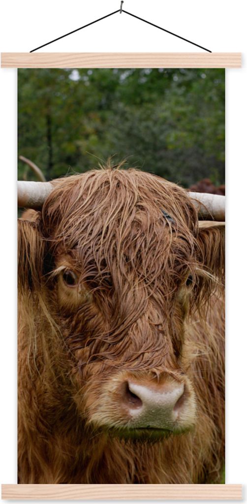 MuchoWow Textilposter Schottische Hochlandrind - Tiere - Gras 40x80 cm mit holzfarbenen Rahmen - Wohnzimmer