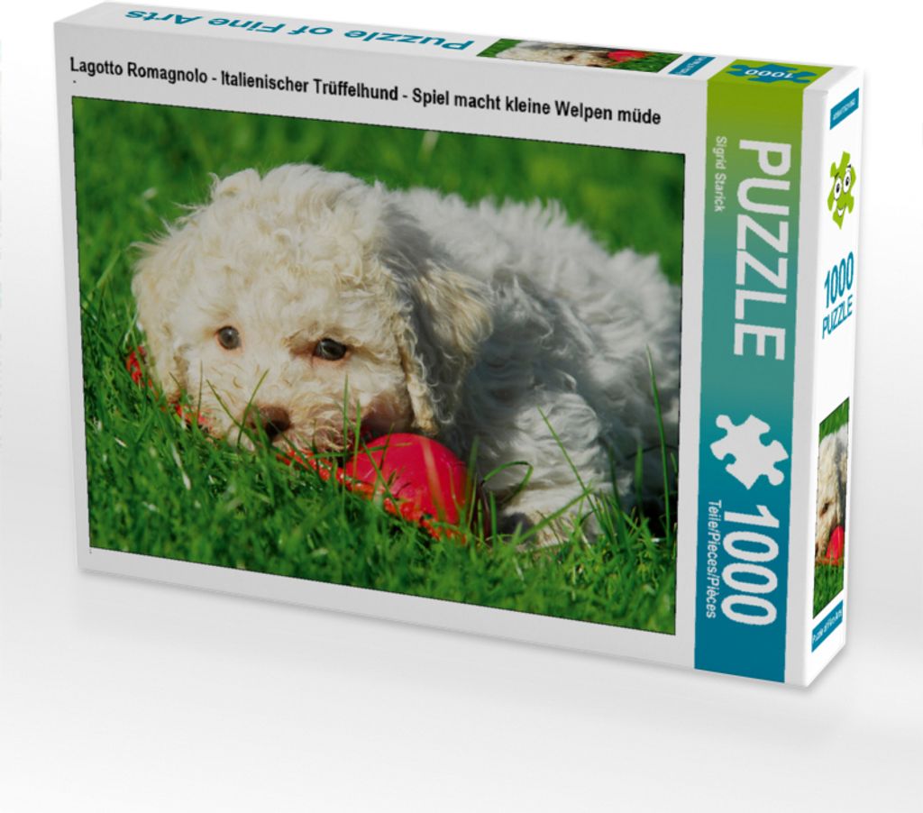 CALVENDO Puzzle Lagotto Romagnolo - Italienischer Trüffelhund - Spiel macht kleine Welpen müde | 1000 Teile Lege-Größe 64x48cm Foto-Puzzle für...