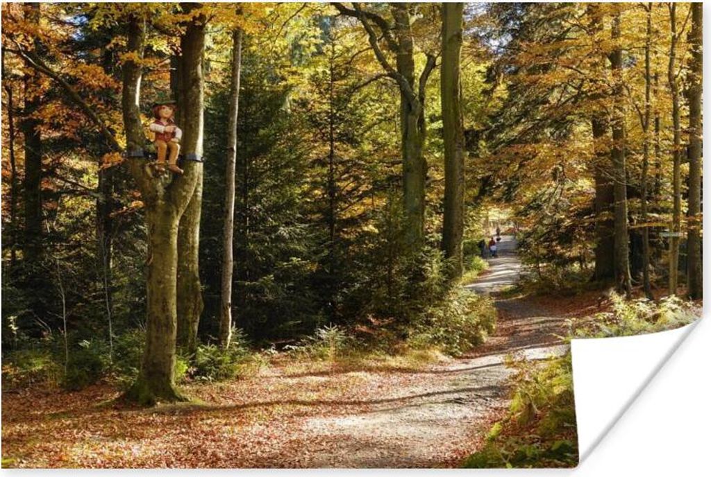 MuchoWow Poster Waldlehrpfad im Nationalpark Bayerischer Wald 180x120 cm - Fotoplakat