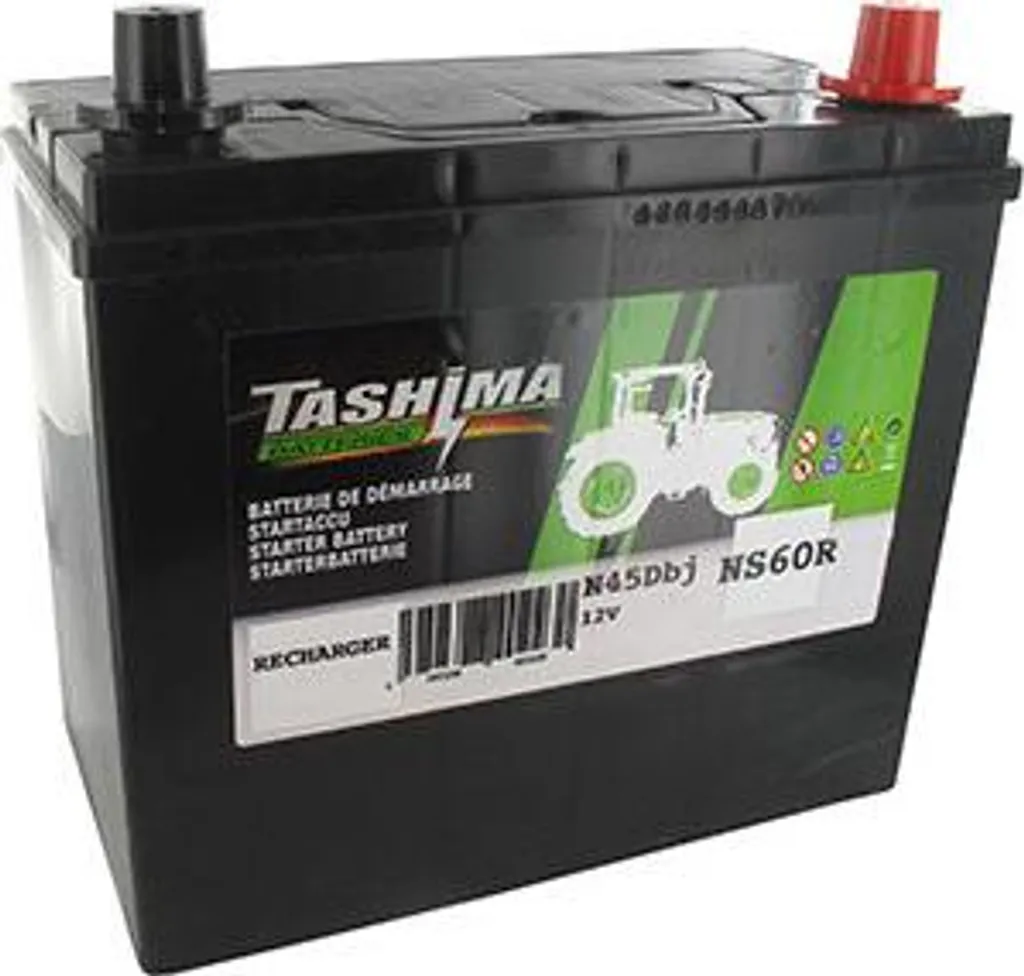 Batterie Plomb Tashima 12V 45Ah Pb-Ca sans Entretien pour Autoportée