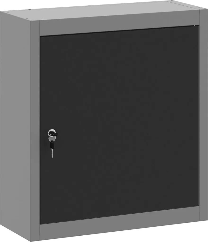 Armoire à outils murale noire 50x20x55 cm en acier DesignMöbel robuste
