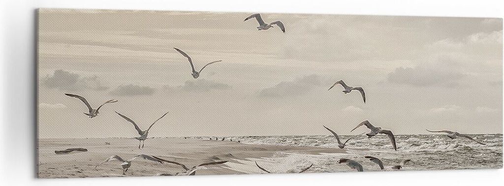 Bild auf Leinwand - Leinwandbild - Einteilig - Möwen Küste Boho - 160x50cm - Wand Bild - Wanddeko - Wandbilder - Leinwanddruck - Bilder - Wanddek...