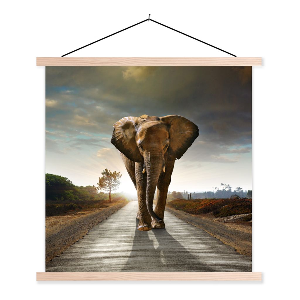 MuchoWow Textilposter Elefant - Straße - Tiere - Sonnenuntergang - Landschaft 60x60 cm mit holzfarbenen Rahmen - Wanddekoration