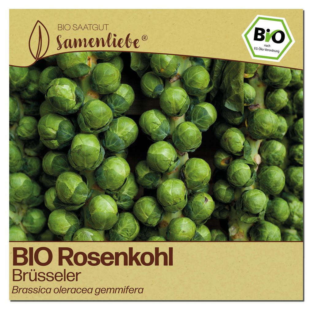 Samenliebe  Rosenkohl Samen | Brüsseler Rosenkohl - Produktbild 