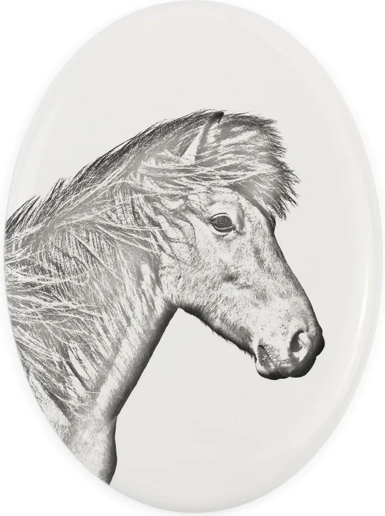 Targa Foto Cavallo Islandese | Lapide in Ceramica Art-Dog Online