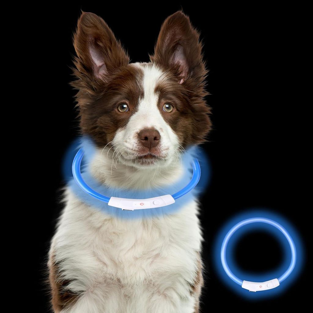 Hunde-Leuchthalsband, per USB wiederaufladbares Hundehalsband, blinkendes LED-Halsband mit 3 einstellbaren Sicherheitsmodi für kleine, mittelgroß...