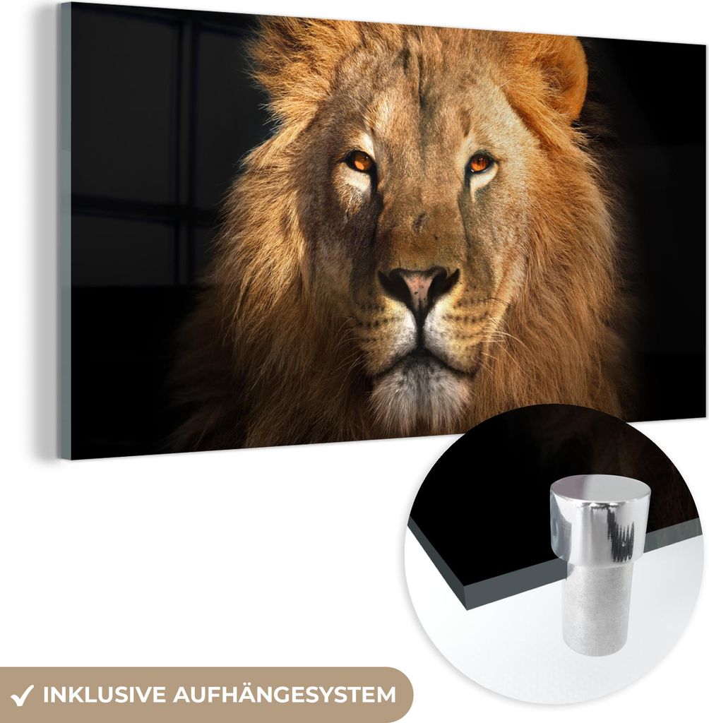 MuchoWow Glasbilder - Bilder auf Wandbild - Foto auf Glas Löwe - Tiere - Schwarz - Hell - Braun - Porträt 80x40 cm Wanddekoration aus Glas - Acry...