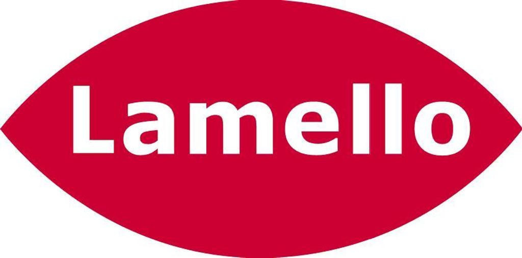 Lamello Fräsdorn CNC für Lamello 4 mm Nutfräser, Ø22 mm, Schaft Ø16x36 mm, L 80 mm, NL 4xM4xØ36 mm | 132156
