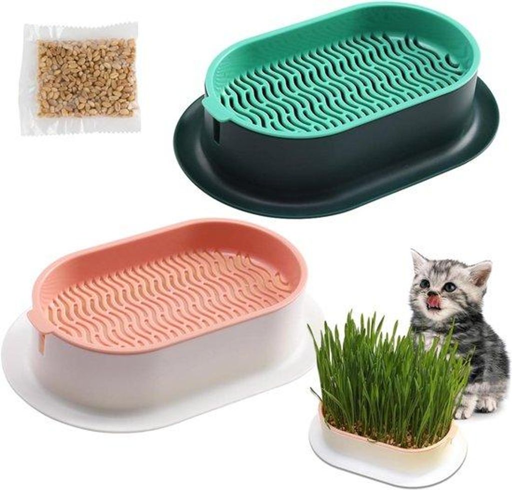 Kattengras Kweekschalen für Katzen zu Hause und im Büro