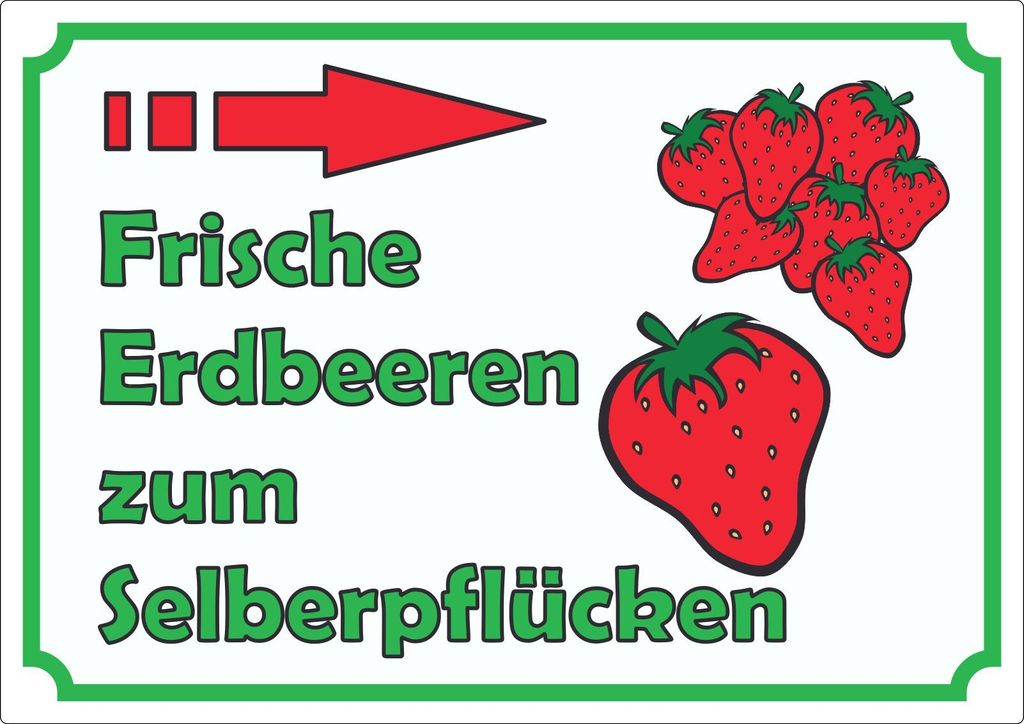 Werbeaufkleber Aufkleber Erdbeeren zum selberpflücken mit Pfeil nach rechts A4 (210x297mm)