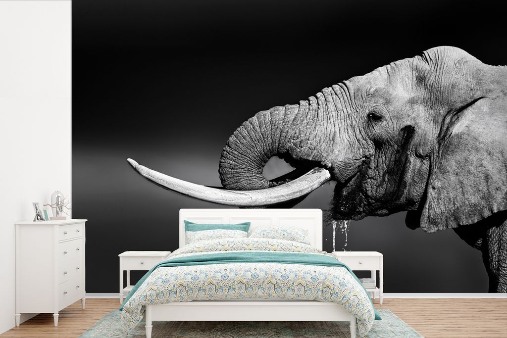 MuchoWow Fototapete für Wohnzimmer oder Schlafzimmer Wandtapete Vinyl Motivtapete Elefant - Wasser - Tiere - Schwarz - Weiß - 525x350 cm - Das ...