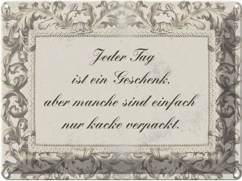 vianmo Blechschild 30x40 cm Jeder Tag ist ein Spruch Zitat