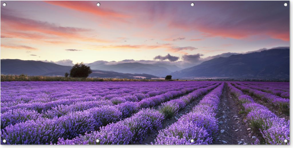 MuchoWow 160x80 cm Outdoor-Poster Gartendeko Sichtschutz Garten Poster für den Garten Ein schönes Lavendelfeld bei Sonnenuntergang