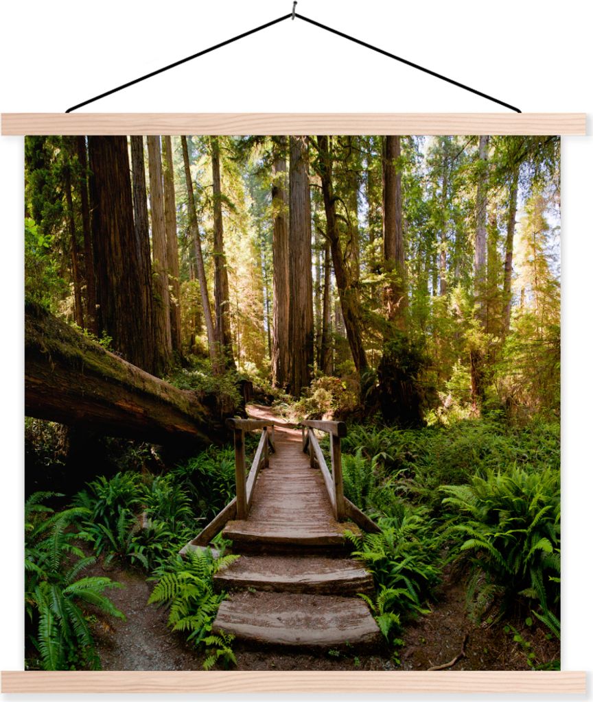 MuchoWow Textilposter Dschungel - Natur - Treppe - Bäume 40x40 cm mit holzfarbenen Rahmen - Posterleiste