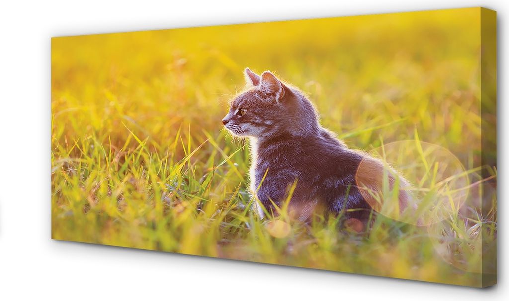 Leinwandbild 100x50 Wandkunst Jagd Katze