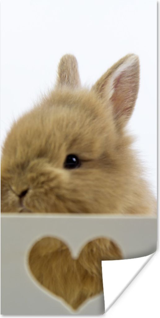 MuchoWow Poster Tiere - Kaninchen - Vogel 80x160 cm - Kinderzimmer