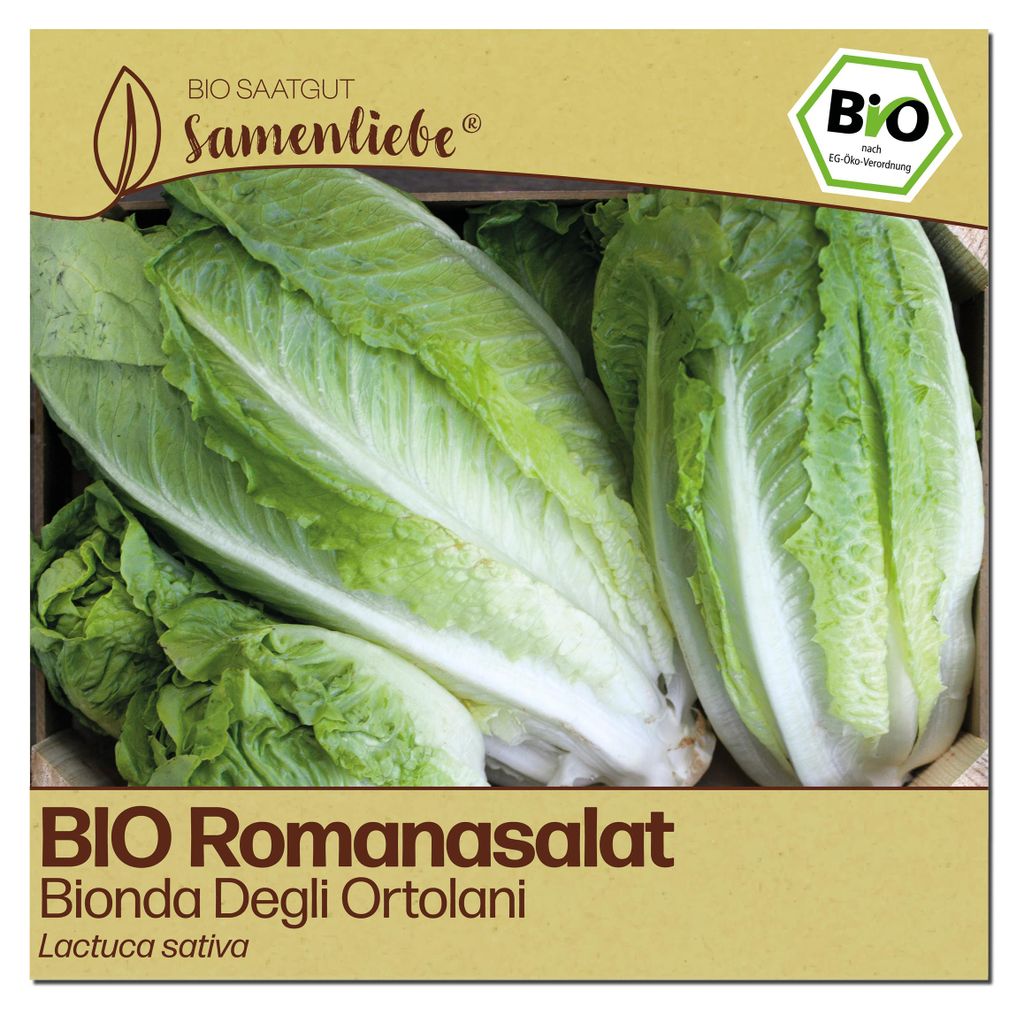 Samenliebe Salat Samen | Bionda Degli Ortolani - samenfestes Saatgut