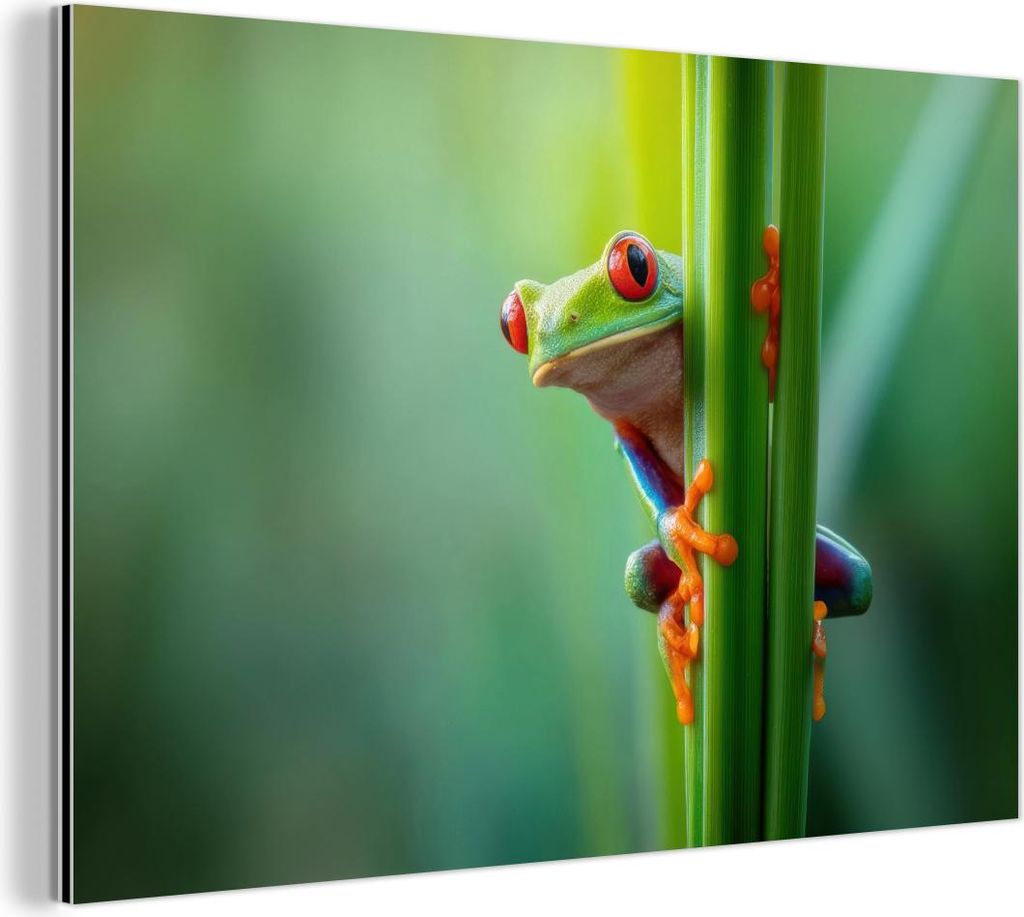 MuchoWow Wanddekoration Metall Metallbild Wandkunst 120x80 cm Grüner Frosch - Neugierig - Gras MuchoWow Aluminium Gemälde - Alu Bild