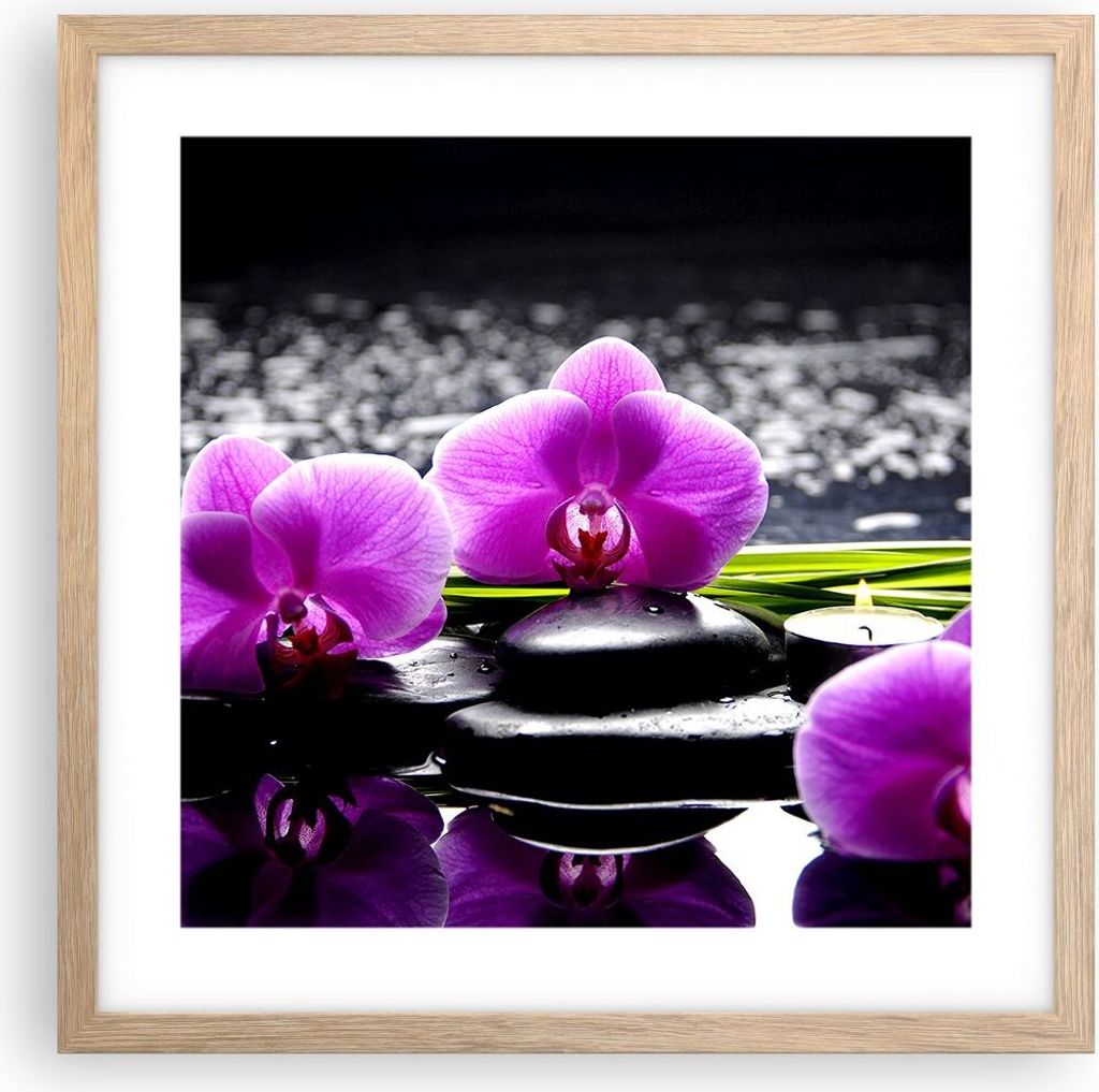 Gerahmtes Poster - Rahmen in heller Eiche - Orchidee Natur Wasser Blume - 40x40 cm - Wand Bild - Wanddeko - Wandbilder - Wandposter - Bilderrahmen ...