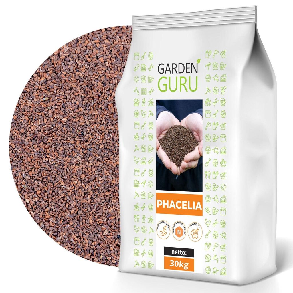 Phacelia 30kg Gründünger Humusbildung Bodenverbesserung Produktbild 