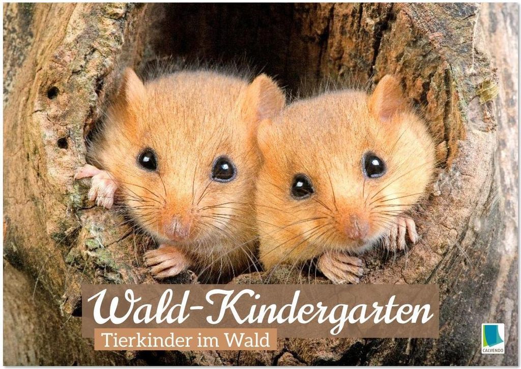 Wald-Kindergarten: Tierkinder im Wald (Wandkalender 2026 DIN A3 quer), CALVENDO Monatskalender