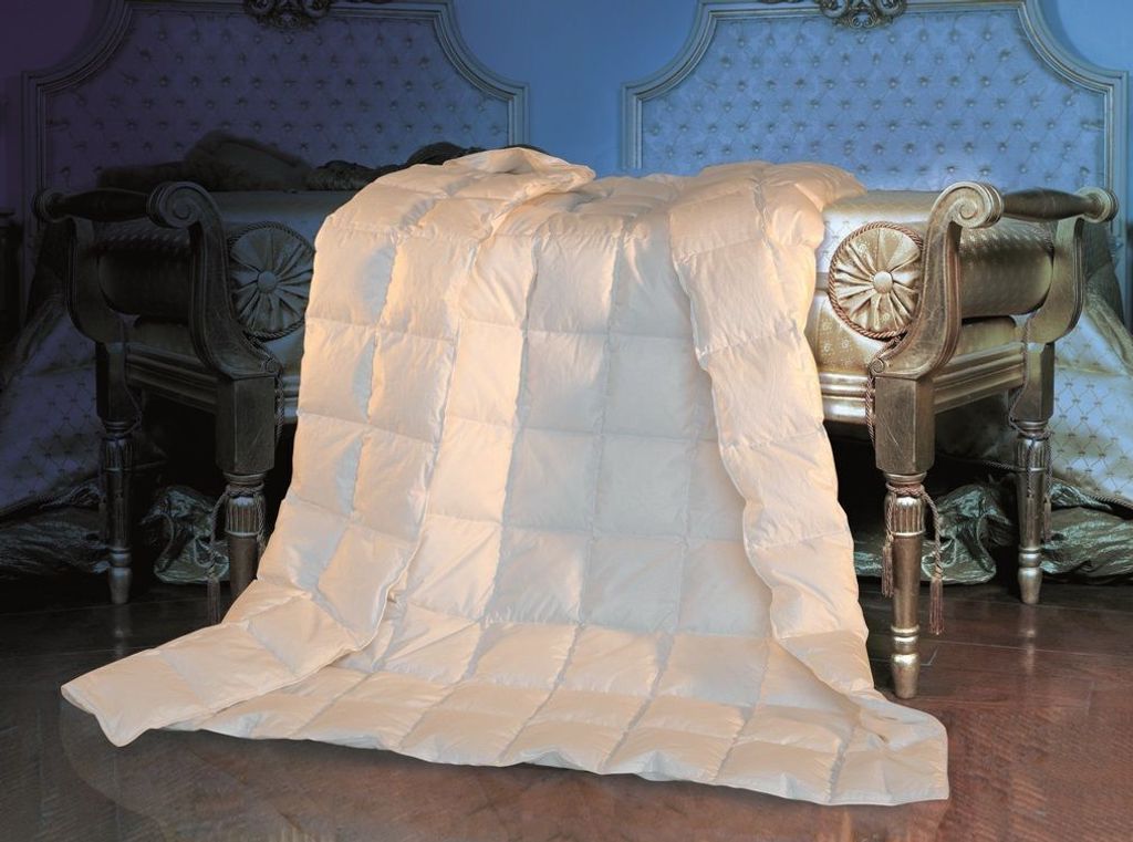 2 Stück traumhafte Sommer Daunenbetten Daunendecken Sommerdecken 8x10 135x200 cm