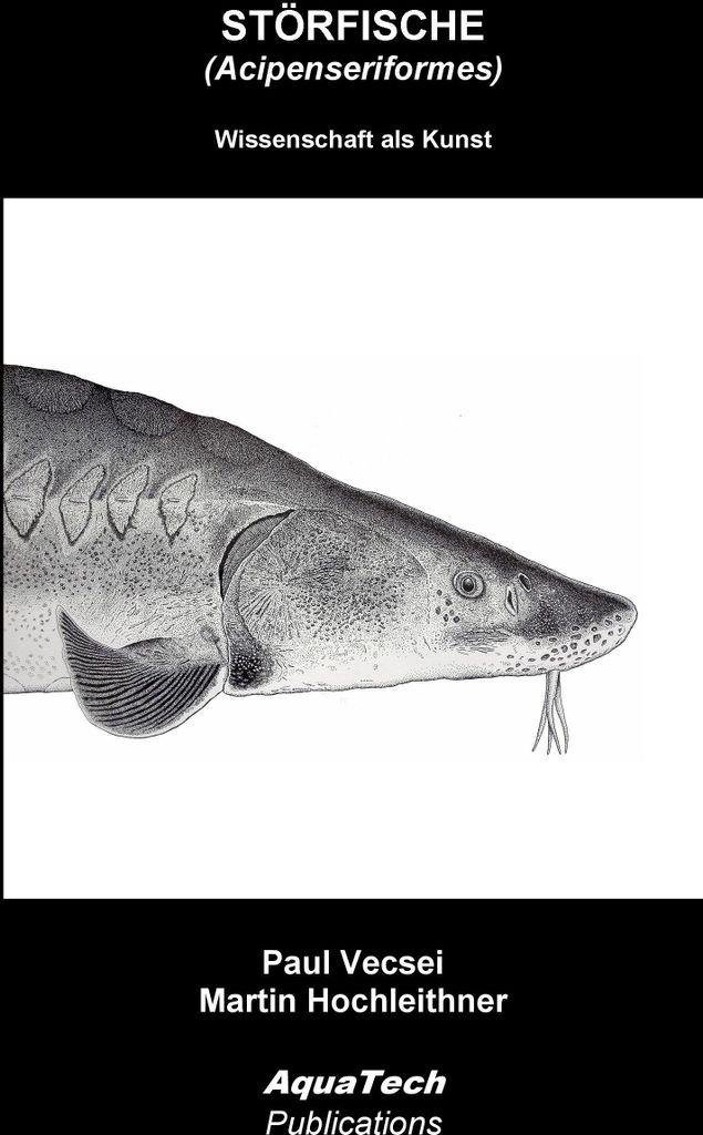 Störfische (Acipenseriformes)