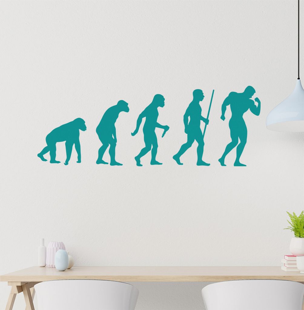 Bodybuilding Evolution Wandtattoo Wandaufkleber Wall Sticker - Dekoration, Küche, Wohnzimmer, Schlafzimmer, Badezimmer