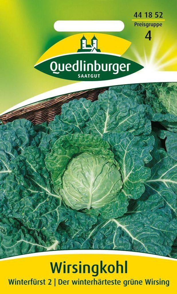 Wirsingkohl Winterfürst 2 | Wirsingsamen von Quedlinburger Produktbild 