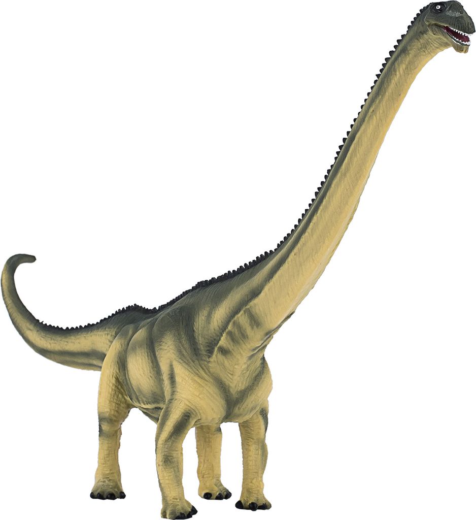 Mojo 387387 Animal Planet Mamenchisaurus Produktbild 