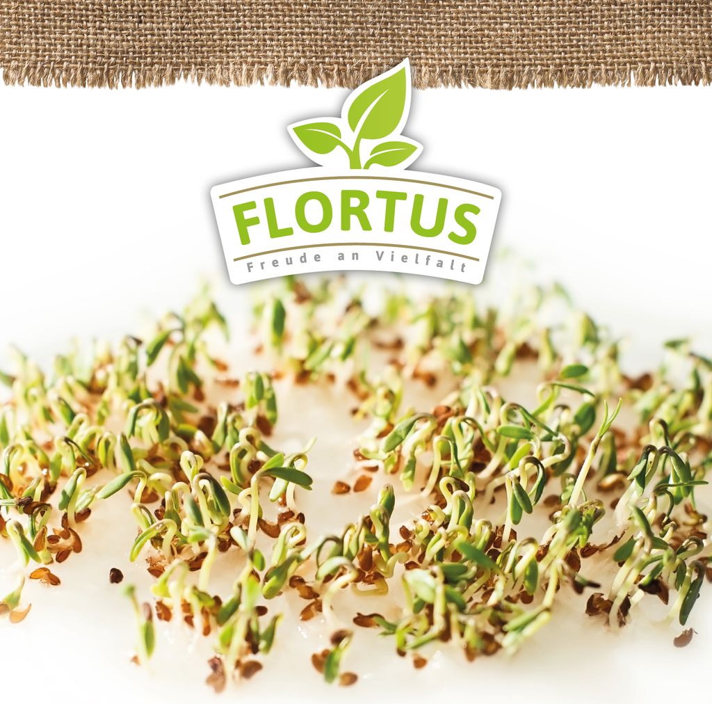 Keimsprossen Kresse (200 g) |Keimsprossen von FLORTUS Produktbild 5
