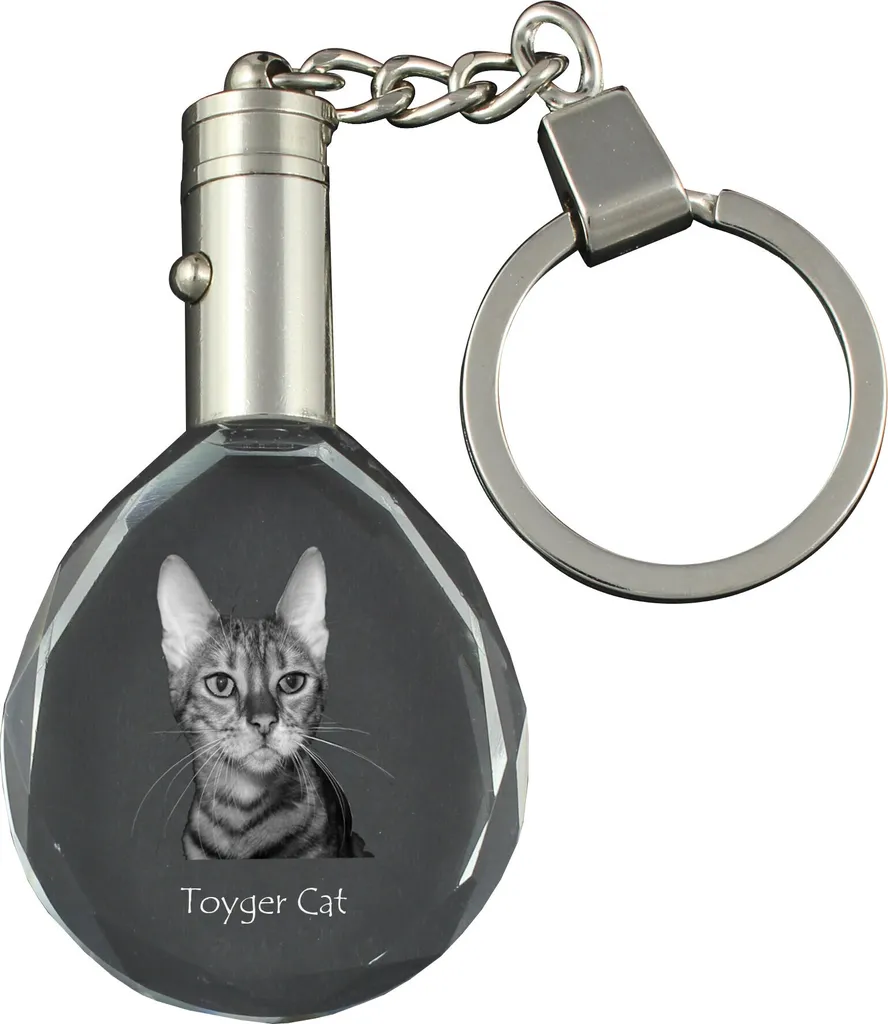 BONSNY Portachiavi in lega smaltata a forma di gatto, gioiello per donne e ragazze, portachiavi per auto, portafoglio, idea regalo, Multicolore, 35mm x 30mm